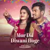 About Mor Dil Diwani Hoge Song